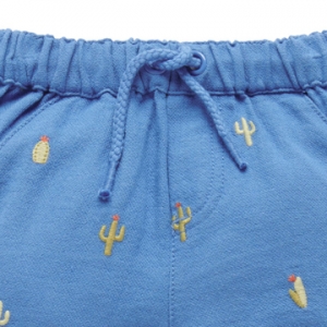 仙人掌刺繡